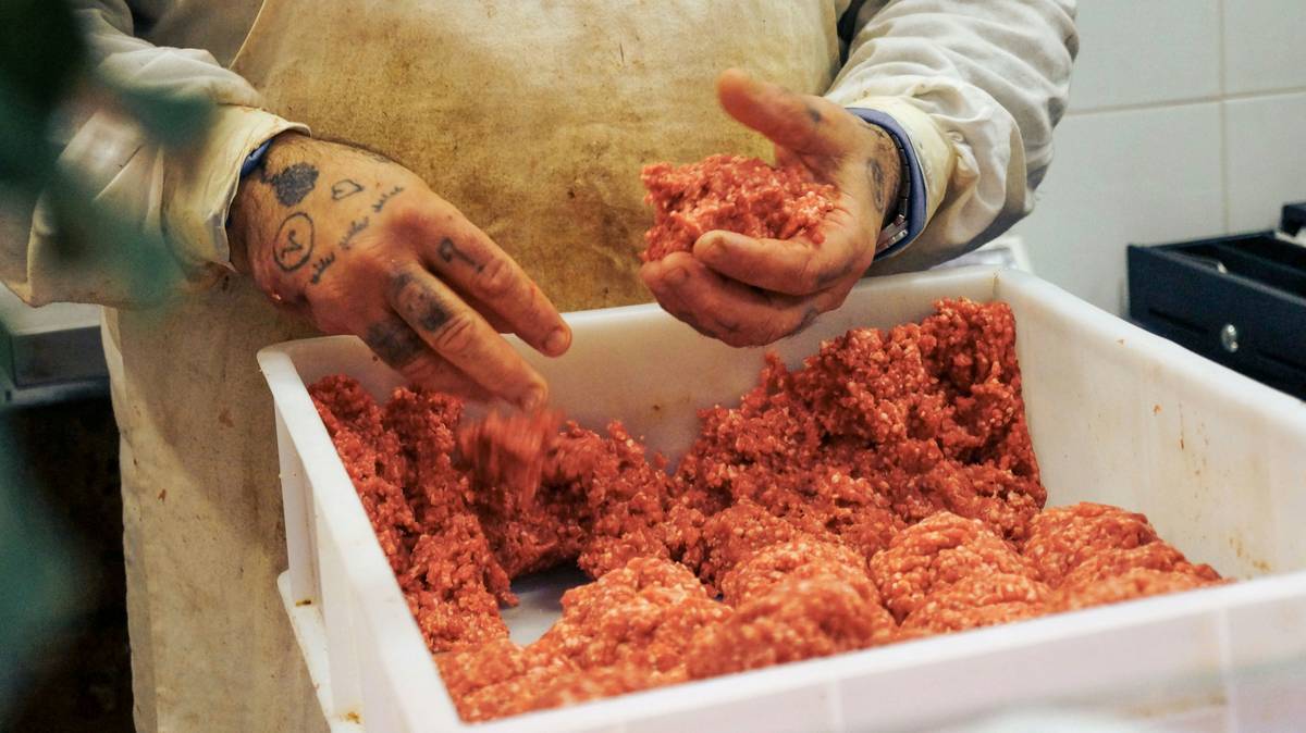 Fresh beef cubes being fed into a stainless steel meat grinder for recipes for grinding own meat